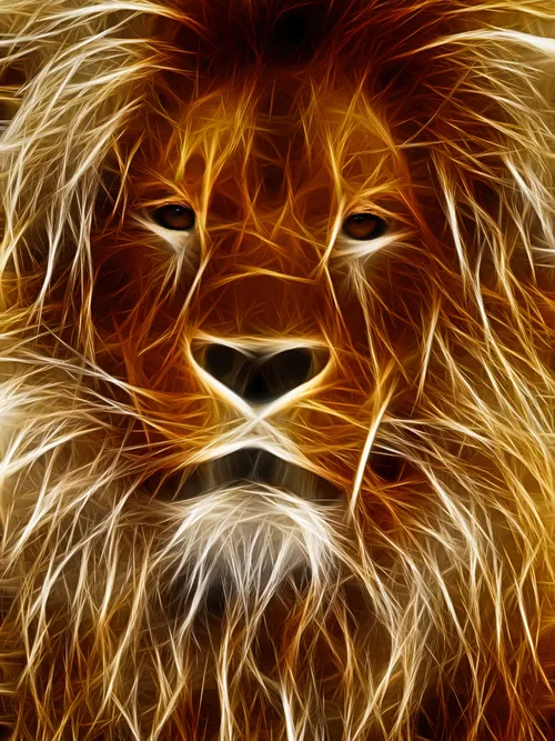 Lion drawing