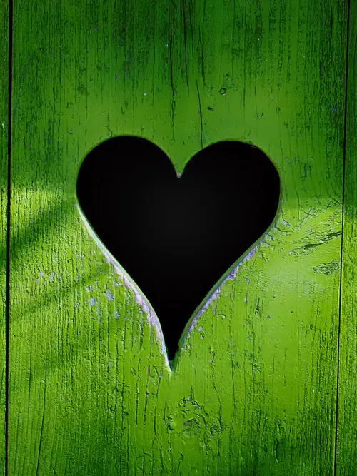 Heart in wood