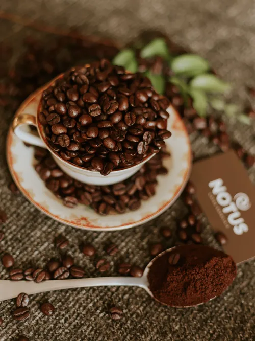 Cup of coffee beans