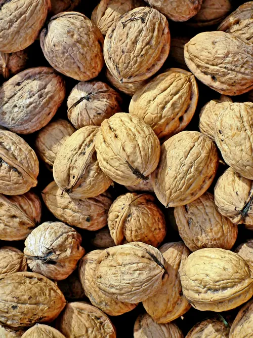 Nuts