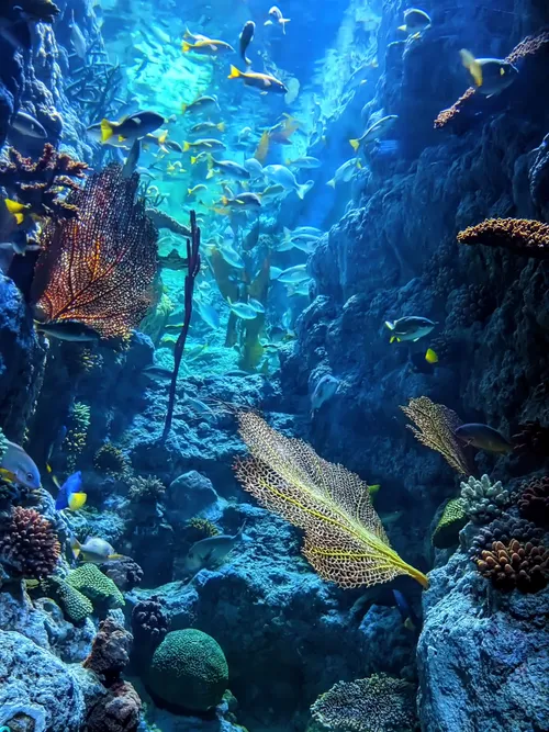 Under sea
