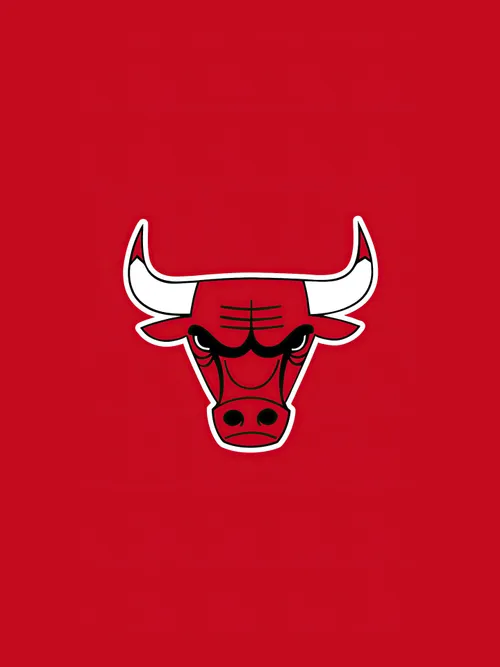 Chicago Bulls