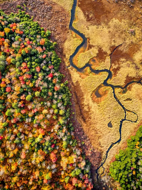 Autumn aerial view