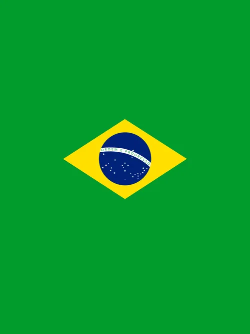 Brazil flag