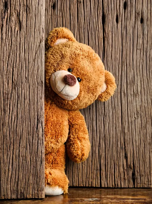 Teddy bear