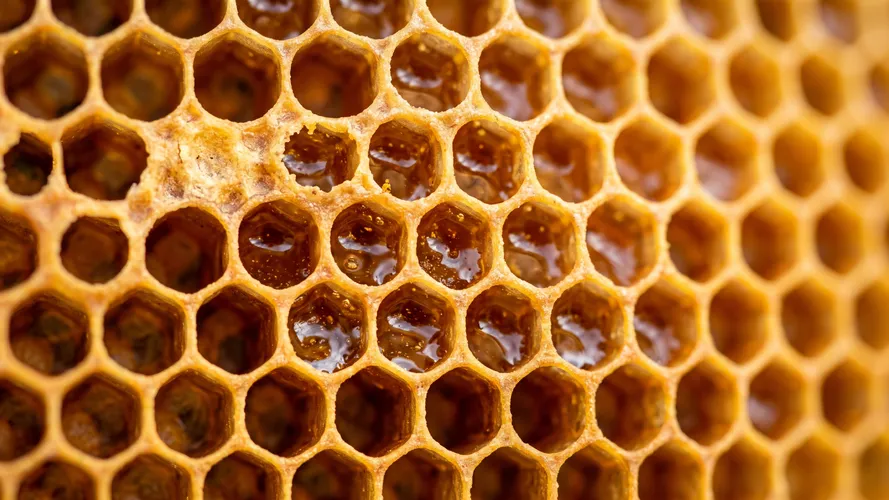 Golden Honeycomb Texture