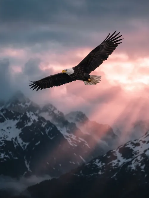 Bald Eagle Soaring Over Mountains